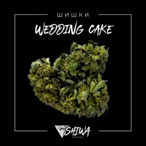 Купить травку план канабис бошки